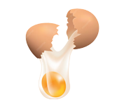 Huevo - COLAPA Ecuador - Consejo Latinoamericano de Proteína Animal