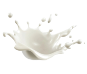 Leche - COLAPA Ecuador - Consejo Latinoamericano de Proteína Animal