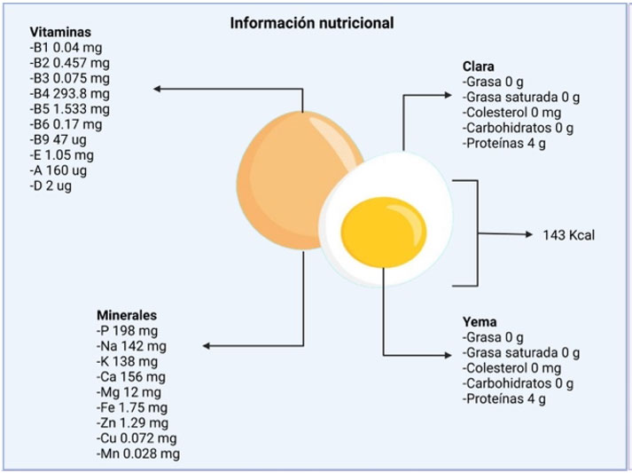 Huevo Nutrición Infantil COLAPA