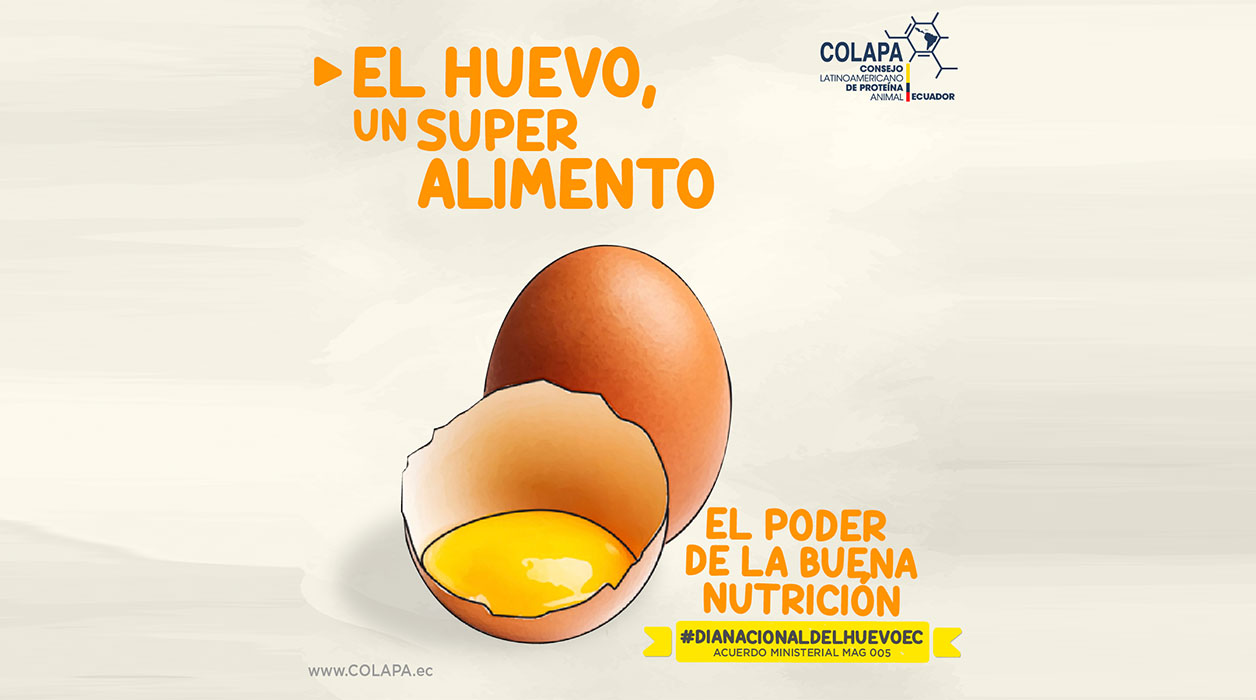 Huevo super alimento COLAPA
