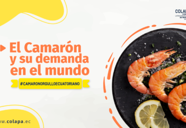 Día Mundial del Camarón COLAPA