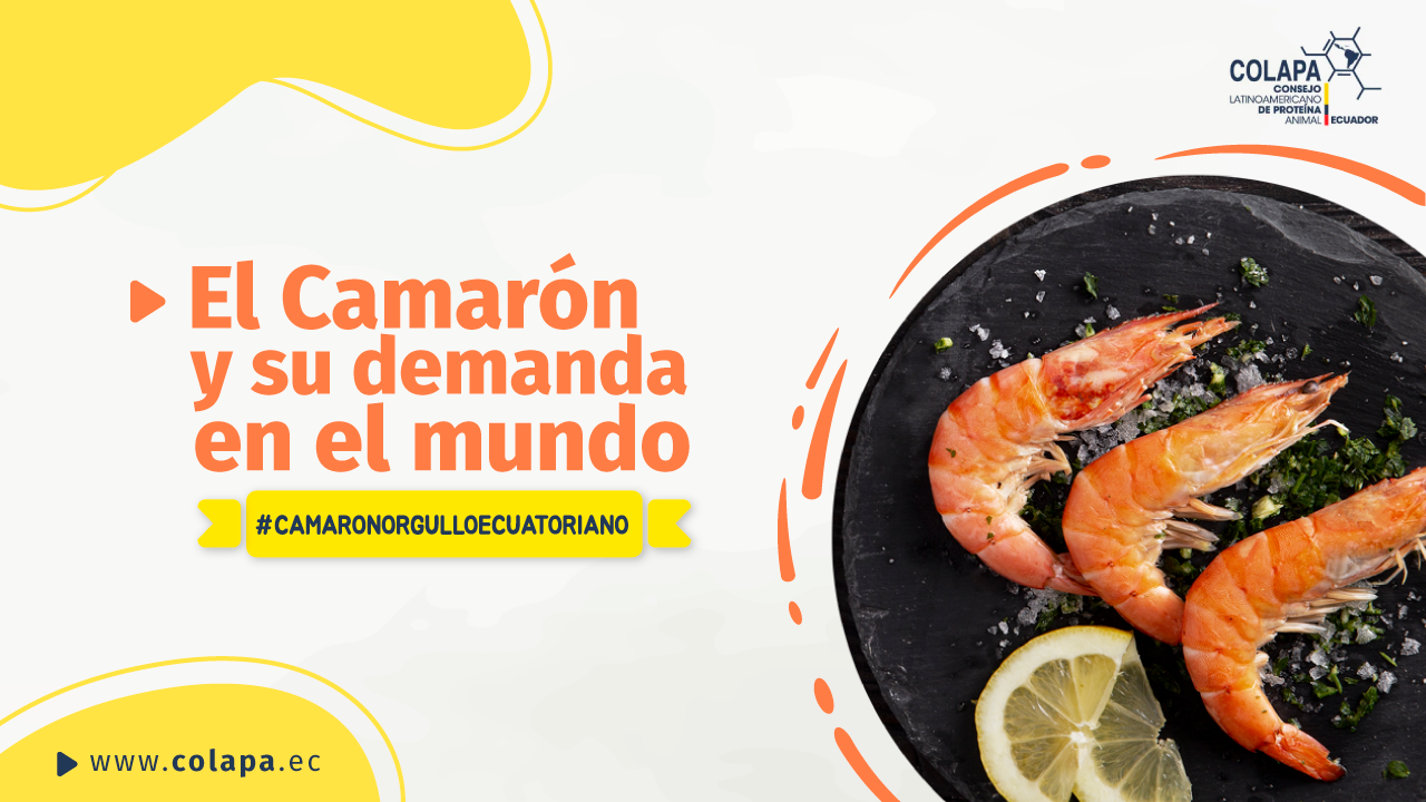 Día Mundial del Camarón COLAPA