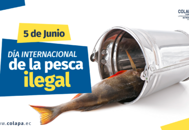 Los peligros de la pesca ilegal COLAPA
