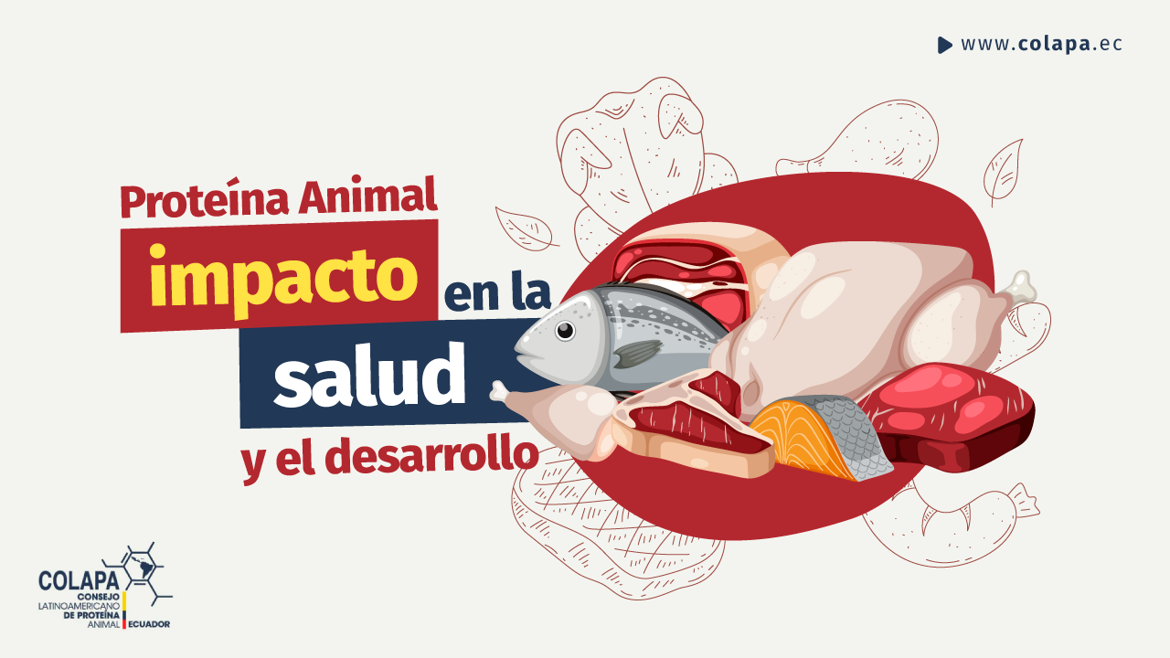 Proteína Animal y su impacto COLAPA ECUADOR