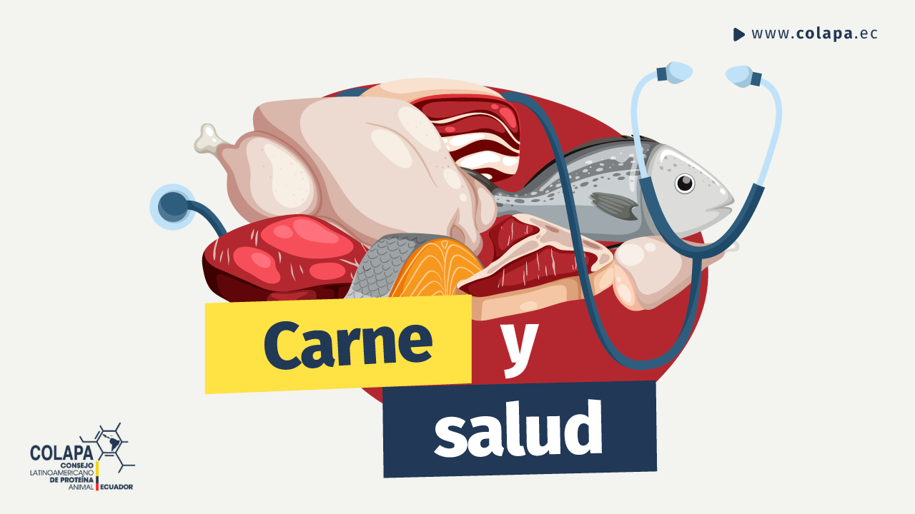 Carne y Salud