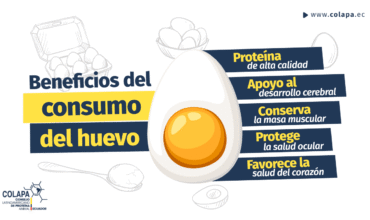COLAPA_LinkedIN_Beneficios-del-consumo-de-huevo Beneficios del consumo de huevo COLAPA