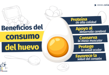 COLAPA_LinkedIN_Beneficios-del-consumo-de-huevo Beneficios del consumo de huevo COLAPA