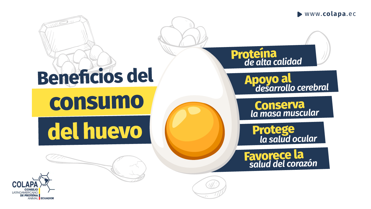 Beneficios del consumo de huevo COLAPA