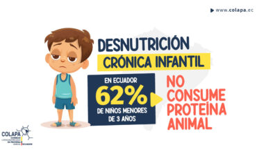 COLAPA_LinkedIN_Desnutricion-cronica-infantil La desnutrición crónica infantil en Ecuador COLAPA ECUADOR