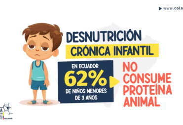 COLAPA_LinkedIN_Desnutricion-cronica-infantil La desnutrición crónica infantil en Ecuador COLAPA ECUADOR