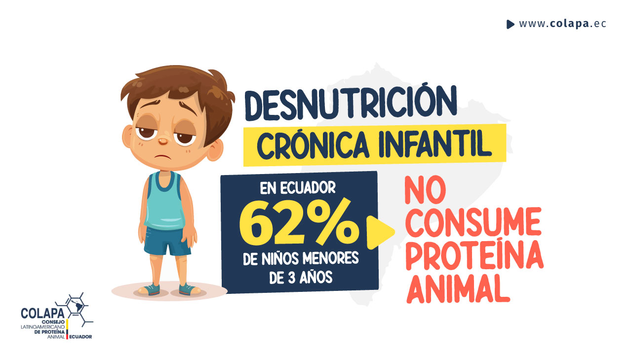 La desnutrición crónica infantil en Ecuador COLAPA ECUADOR
