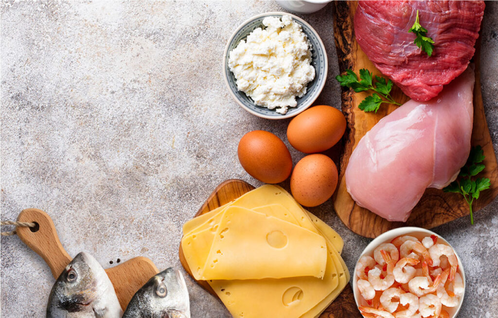 valor biológico de la proteína animal COLAPA