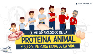 COLAPA_Web_Valor-Biologico valor biológico de la proteína animal COLAPA