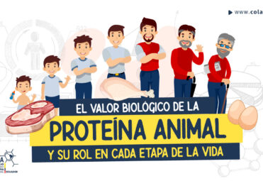 COLAPA_Web_Valor-Biologico valor biológico de la proteína animal COLAPA