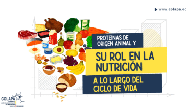 COLAPA_LinkedIN_Rol-En-la-Nutricion Proteínas de origen animal y su rol en la nutrición a lo largo del ciclo de vida COLAPA