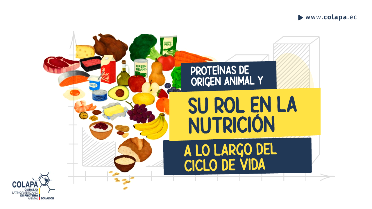 Proteínas de origen animal y su rol en la nutrición a lo largo del ciclo de vida COLAPA